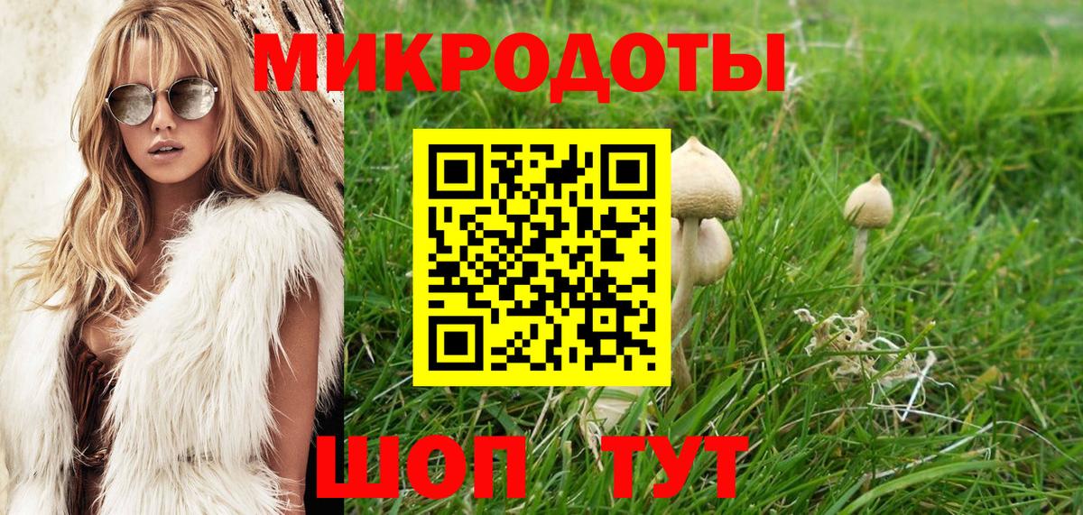 Пушкино  Галлюциногенные грибы Psilocybine cubensis  Вход с VPN 