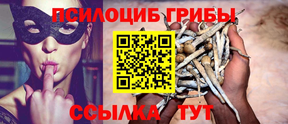 Галлюциногенные грибы MAGIC MUSHROOMS Пушкино